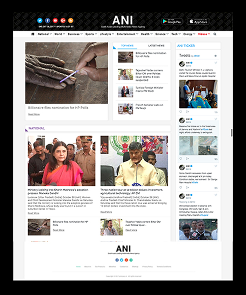 Website Development Company Project - ANI